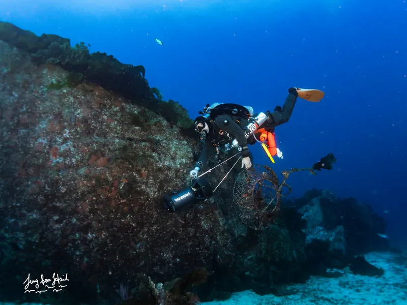 Working a hoop net free of the reef.