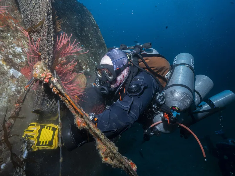 Checking the net for marine life before the cut.