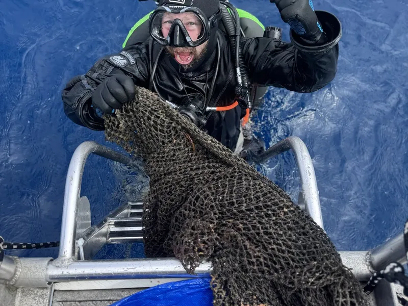 Up the ladder with another armful of net.